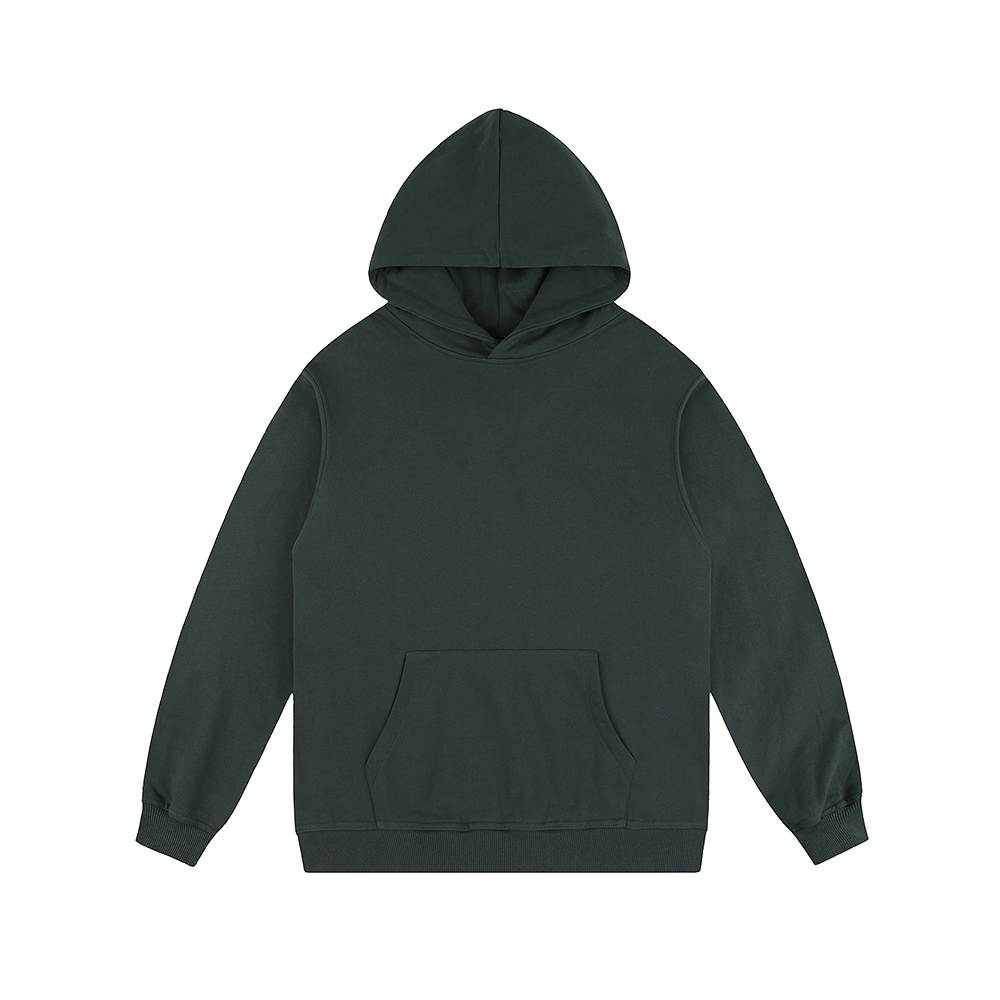 420g Hoodie